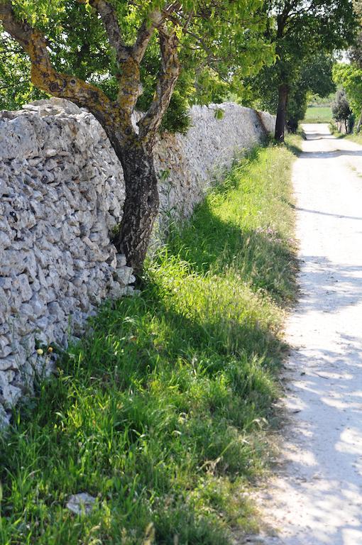 Bed & Breakfast Villa Lavanda Noci Exterior foto