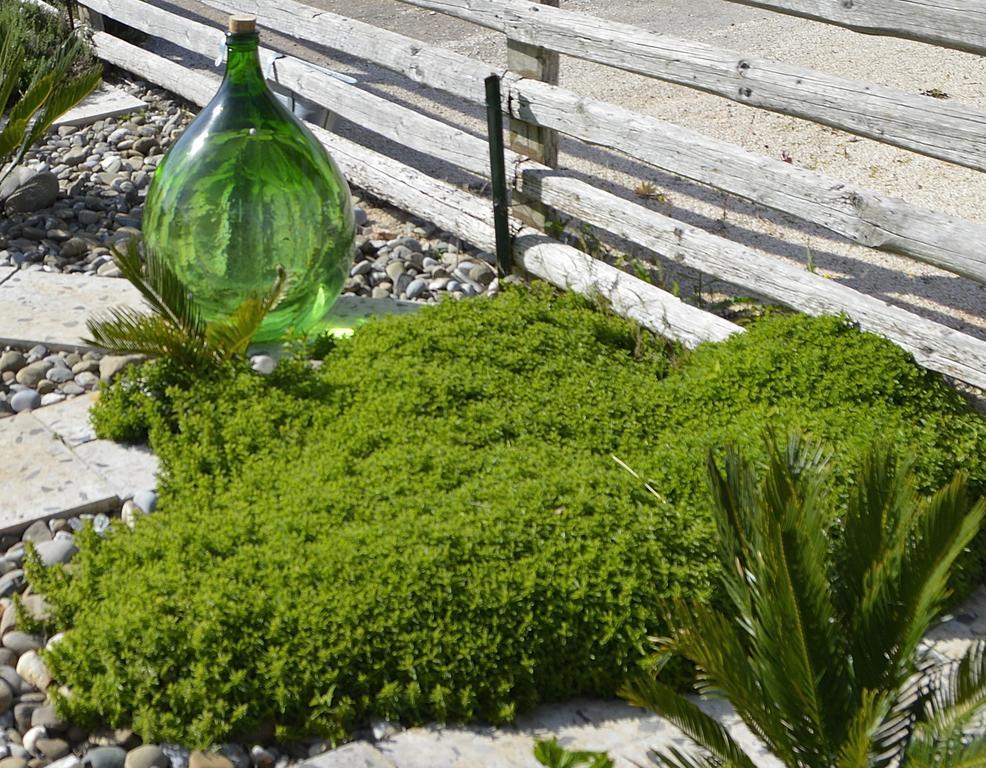 Bed & Breakfast Villa Lavanda Noci Exterior foto